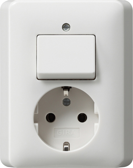 Gira 017603 Kombi AusWe/SCHUKO Vollplatte Standard 55 reinweiß glänzend