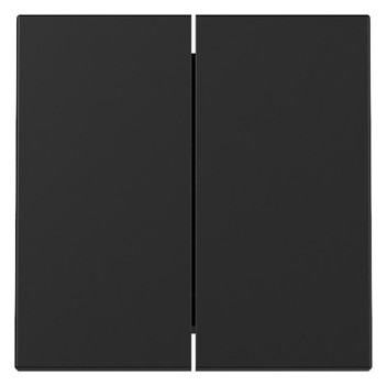 Gira 3295005 Wippe 2fach System 55 Schwarz matt (lackiert)